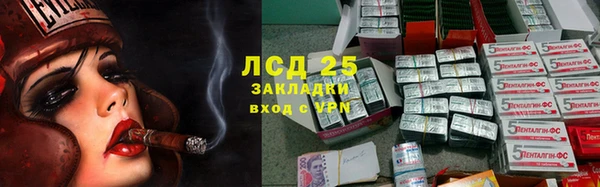 apvp Иннополис