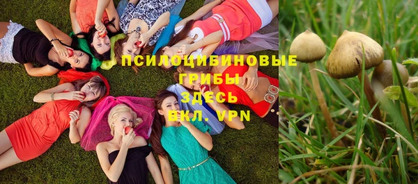 шишки Инта