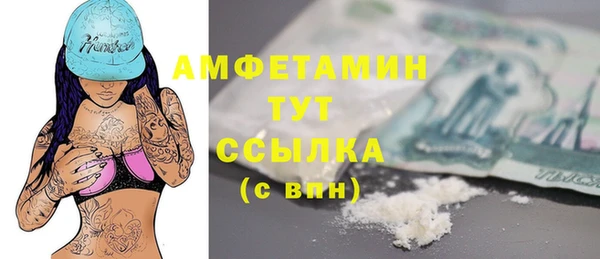 apvp Иннополис