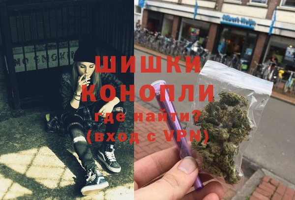 винт Инсар