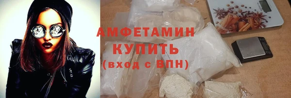 шишки Инта