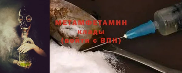 шишки Инта
