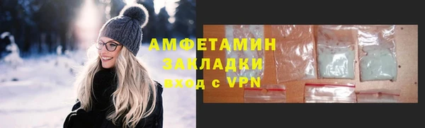 шишки Инта