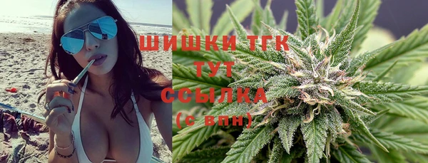 твердый Каменногорск