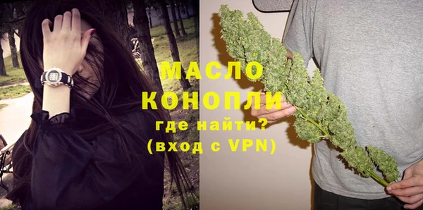 шишки Инта