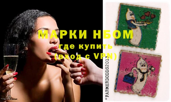 apvp Иннополис