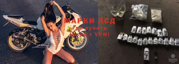 apvp Иннополис