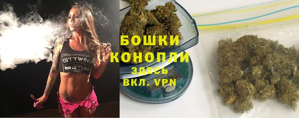 винт Инсар