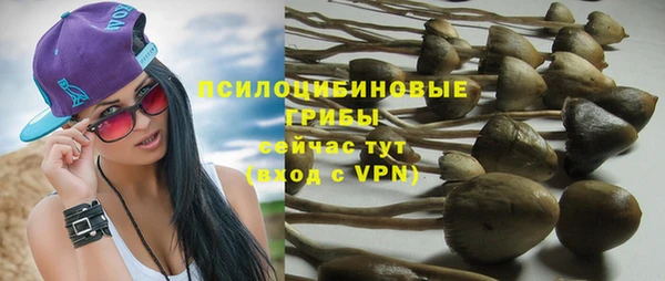 шишки Нея