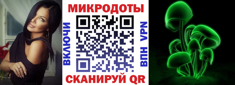 Псилоцибиновые грибы Psilocybe  Красный Холм 
